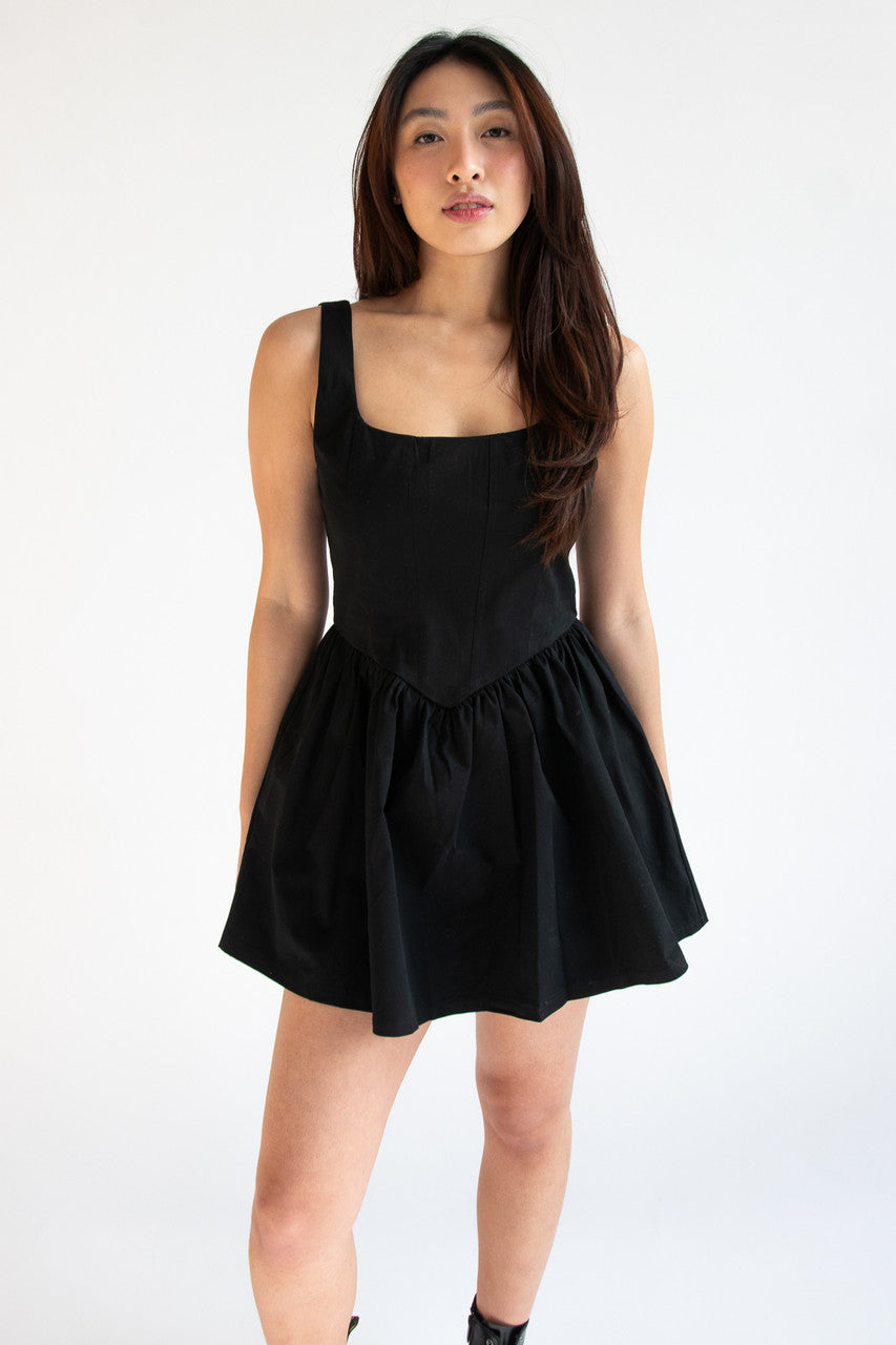 Fitted Bodice Mini Dress