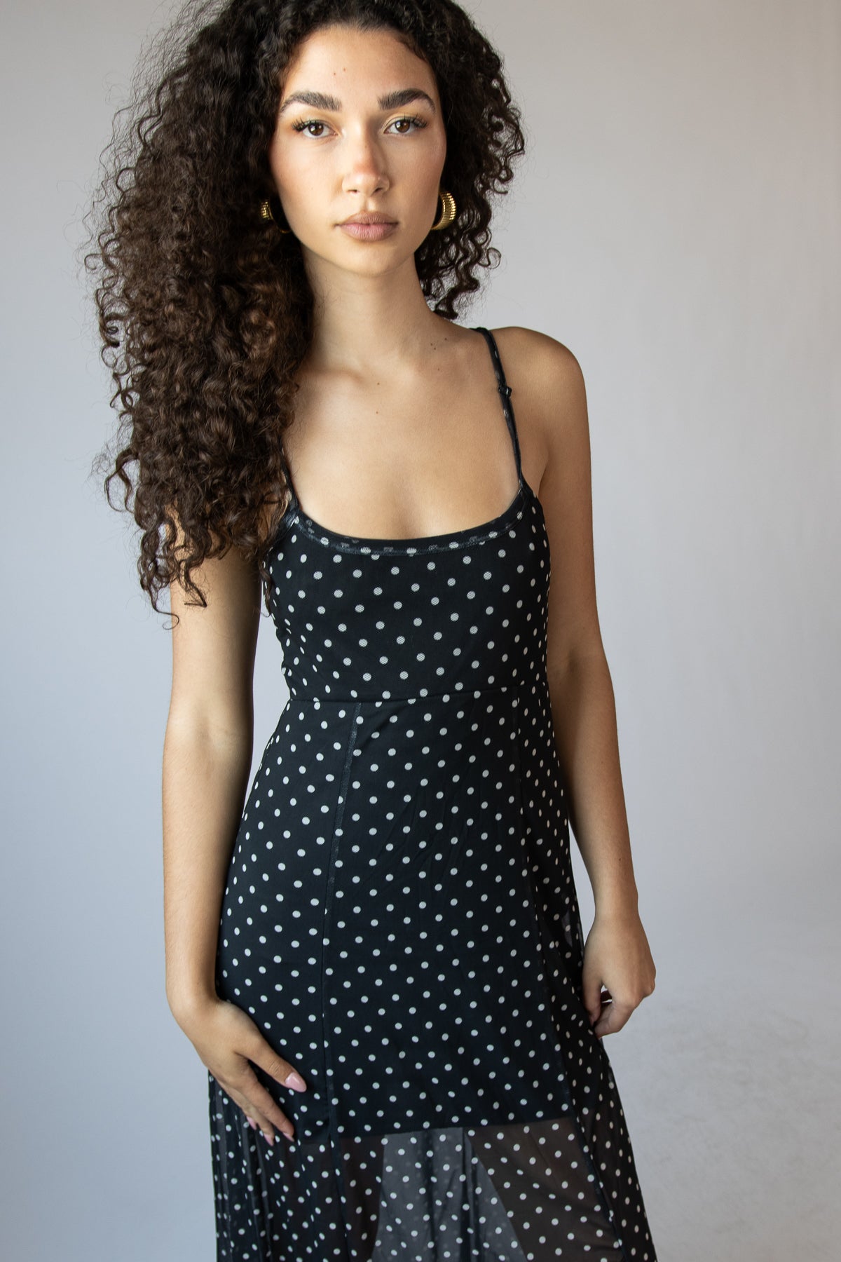Mesh Dot Fit and Flare Maxi Dress