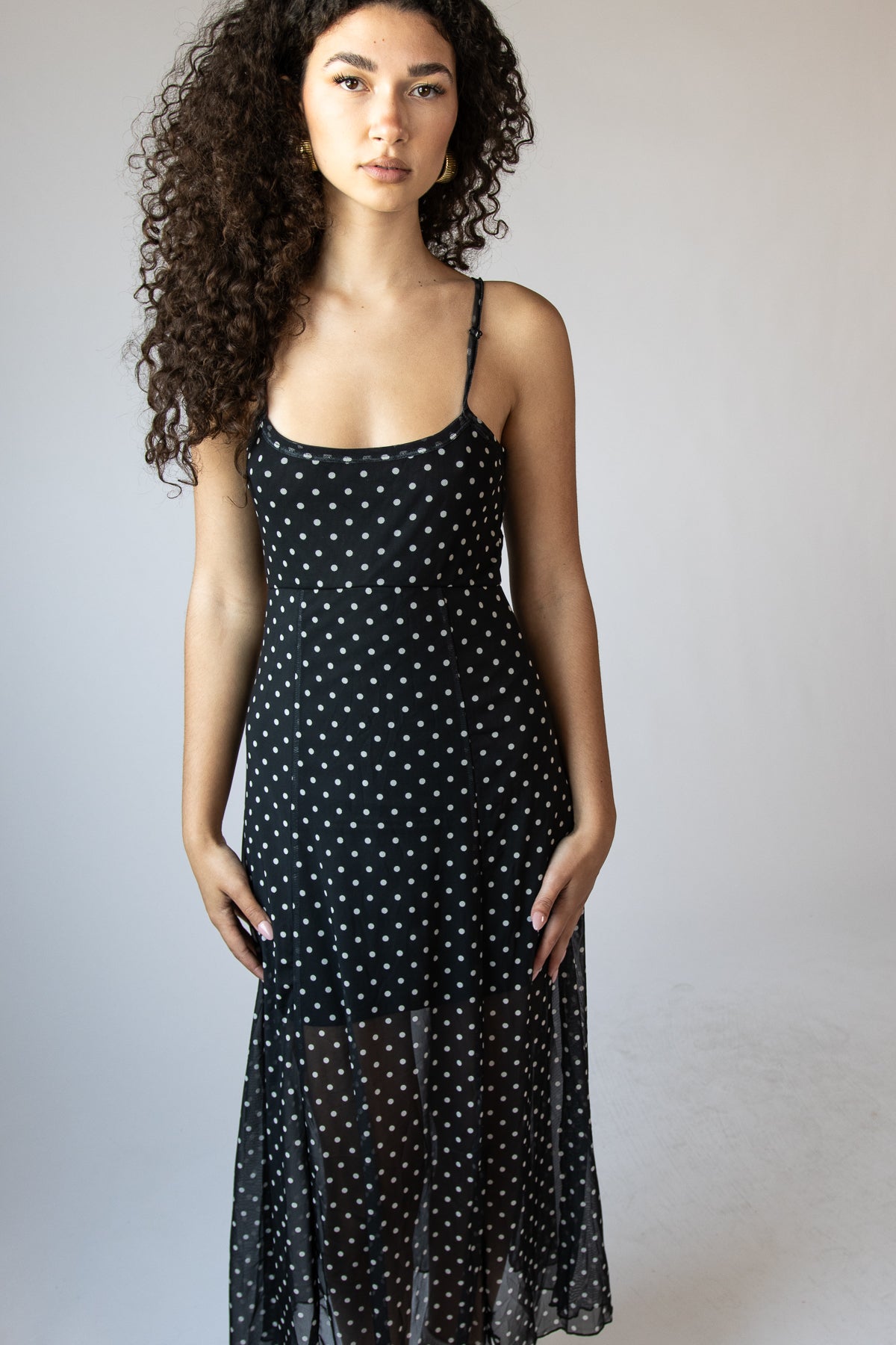 Mesh Dot Fit and Flare Maxi Dress