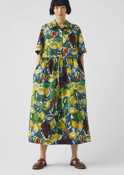 Selma Sketched Fruit Print Shirt Dress | Verdigris/Multi
