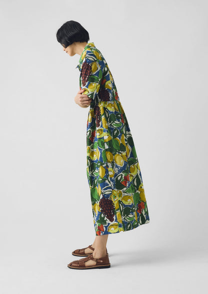 Selma Sketched Fruit Print Shirt Dress | Verdigris/Multi